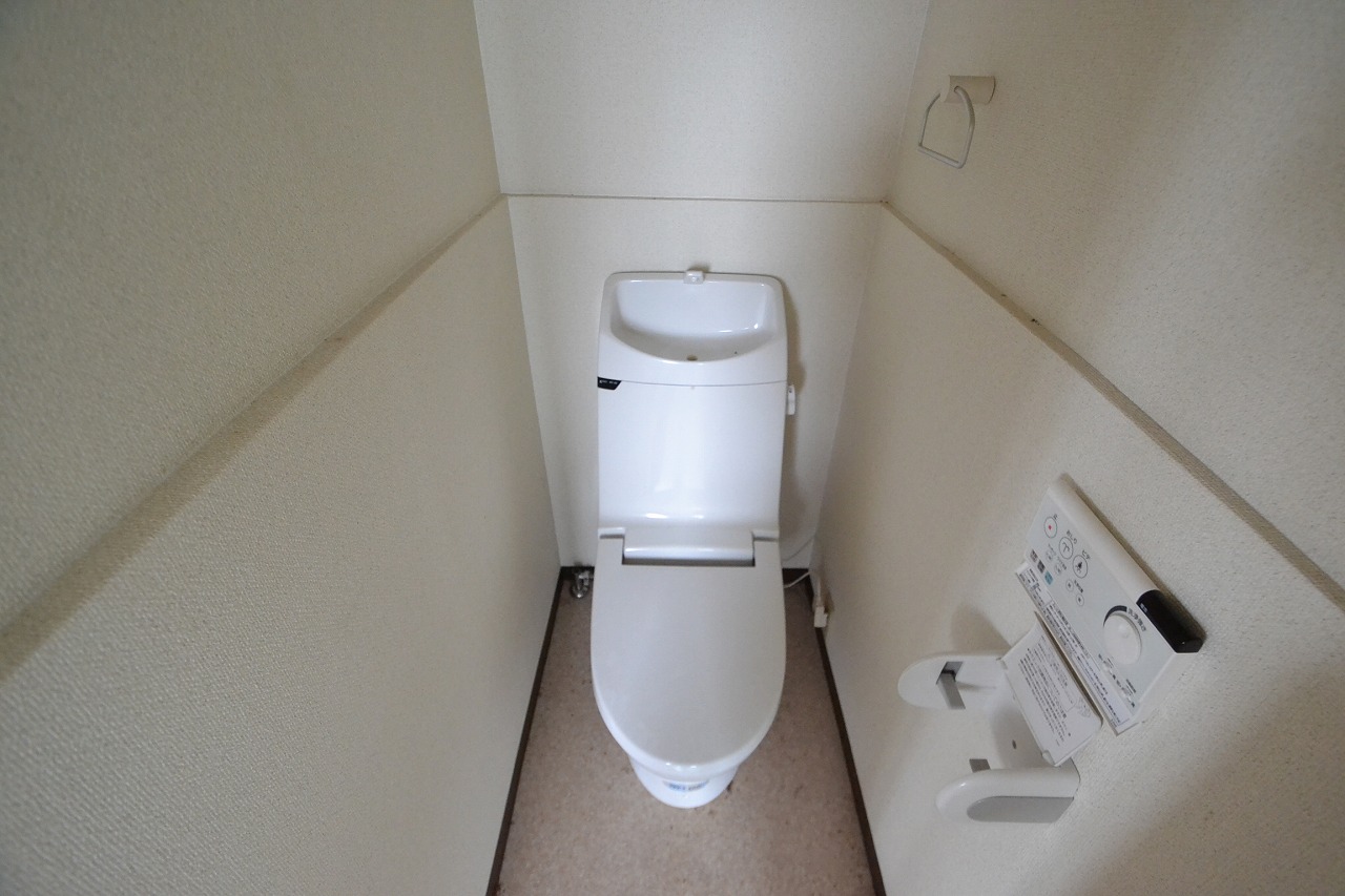 Toilet. It is clean toilets.