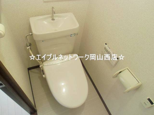 Toilet. Clean toilet