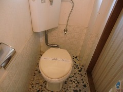 Toilet