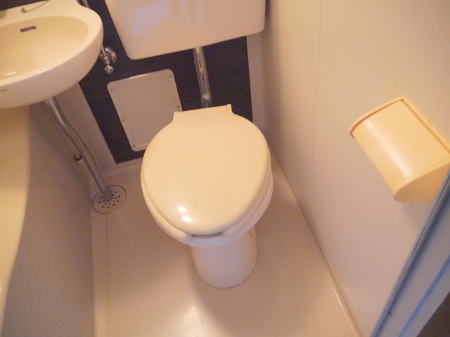 Toilet