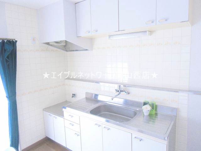 Kitchen. Sink large kitchen