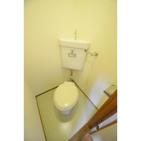 Toilet. Toilet bidet is not (crying) toilet seat cover required