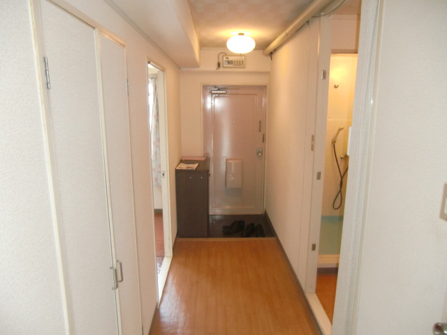 Entrance. Corridor