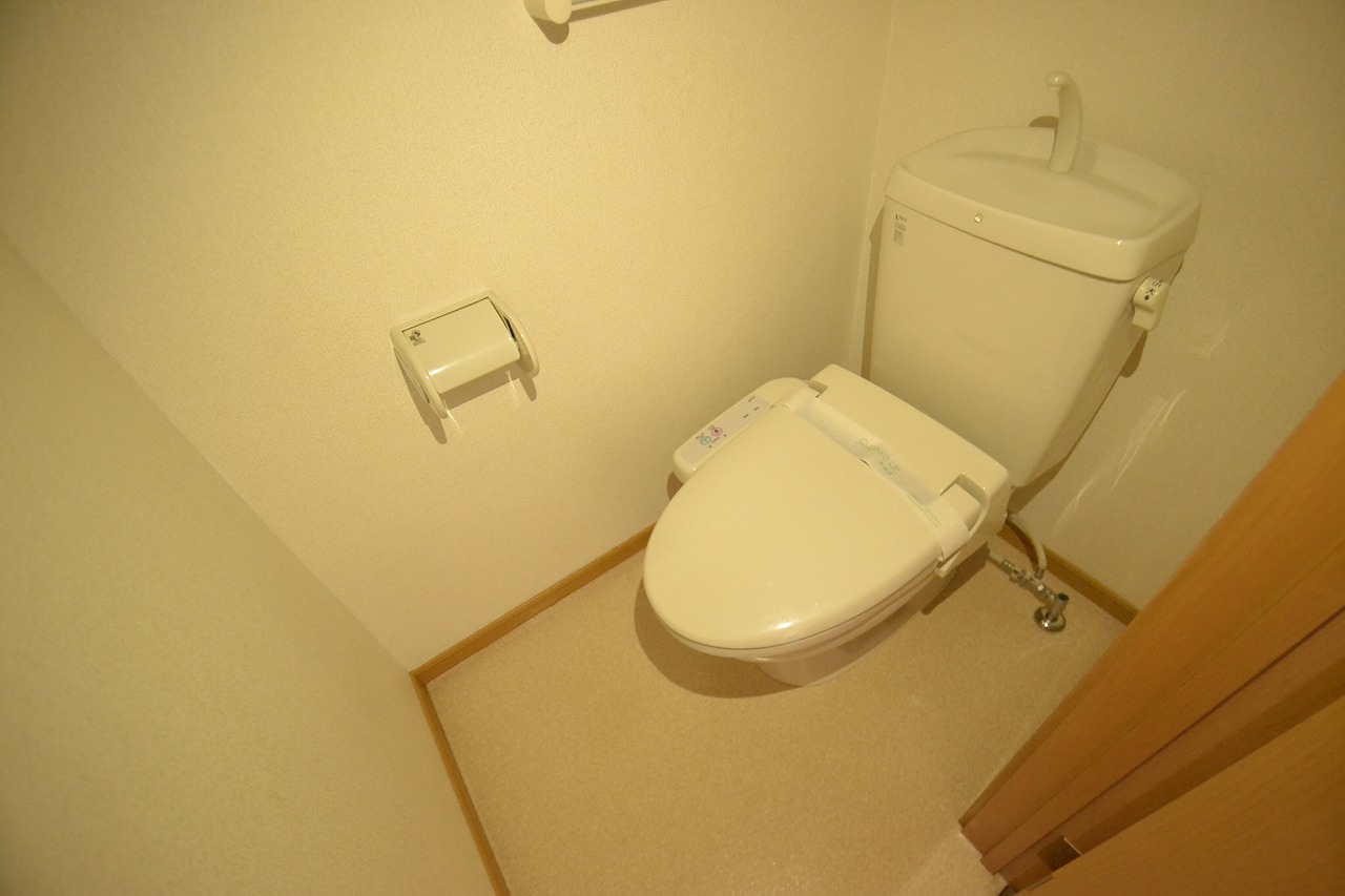 Toilet. Toilet is with a bidet. 