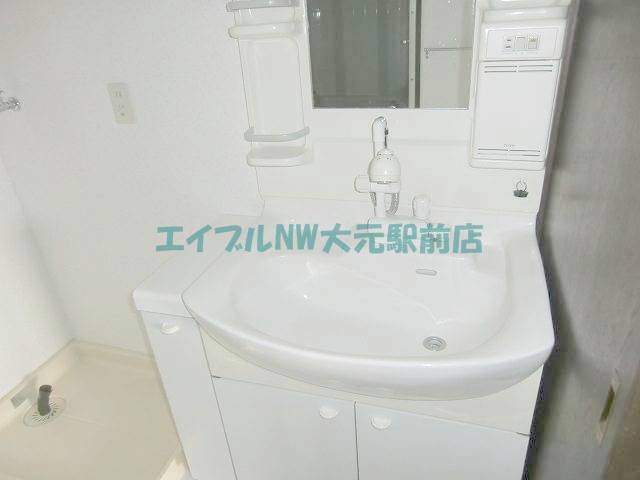 Washroom. Shampoo dresser