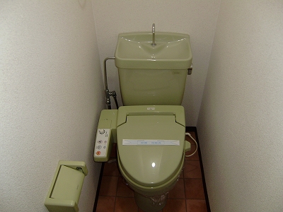 Toilet. With washlet