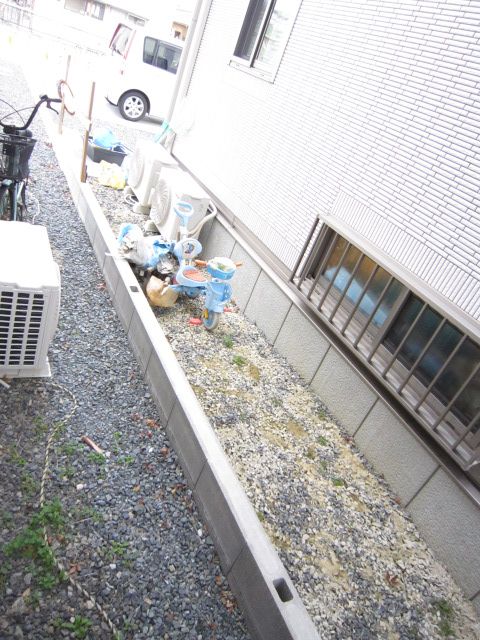 Garden. It is the scenery from the south side of the Western-style.