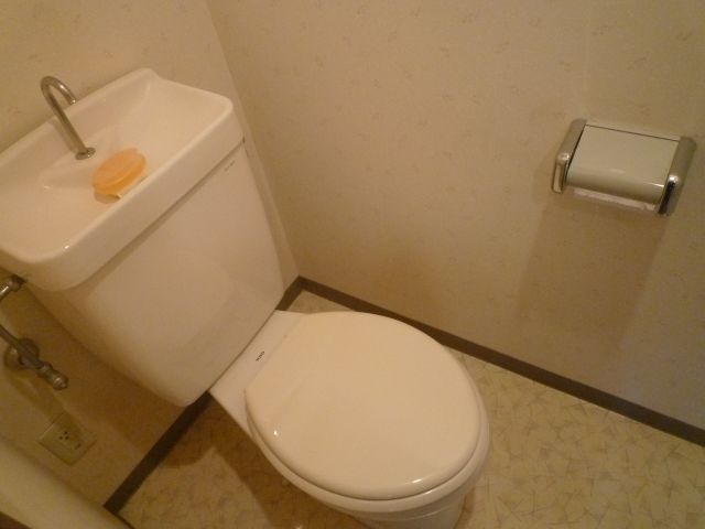 Toilet