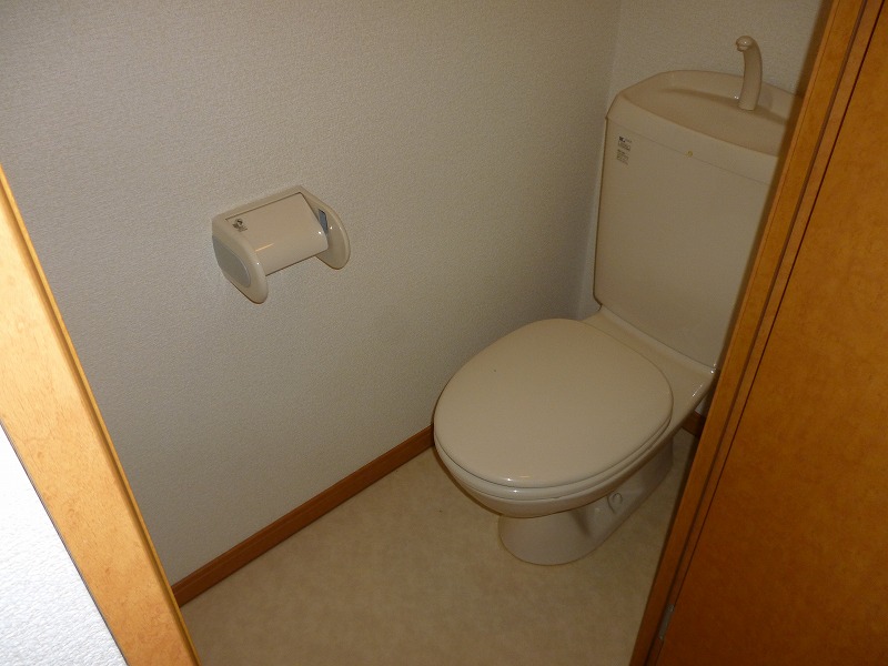 Toilet. Western-style toilet