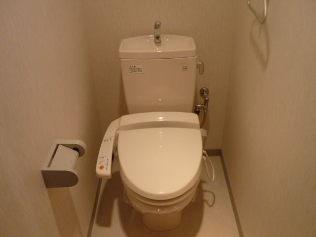 Toilet. A clean toilet.