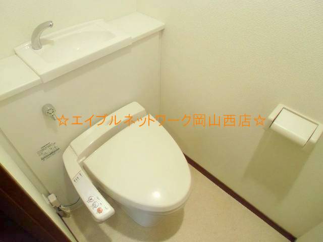 Toilet. Bidet with toilet