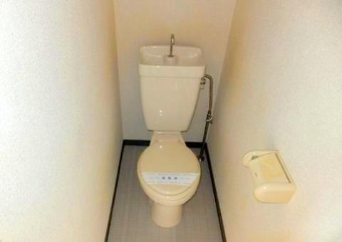 Toilet. WC