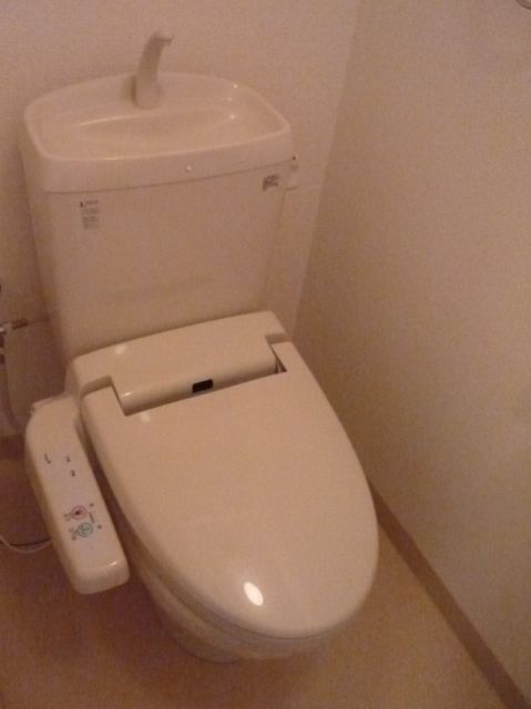 Toilet. It is comfortable with a bidet. 