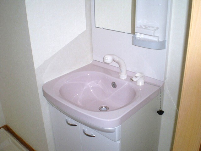 Washroom. Shampoo dresser