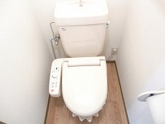 Toilet. (* '▽ `*) (*' ▽` *) (* '▽ `*)