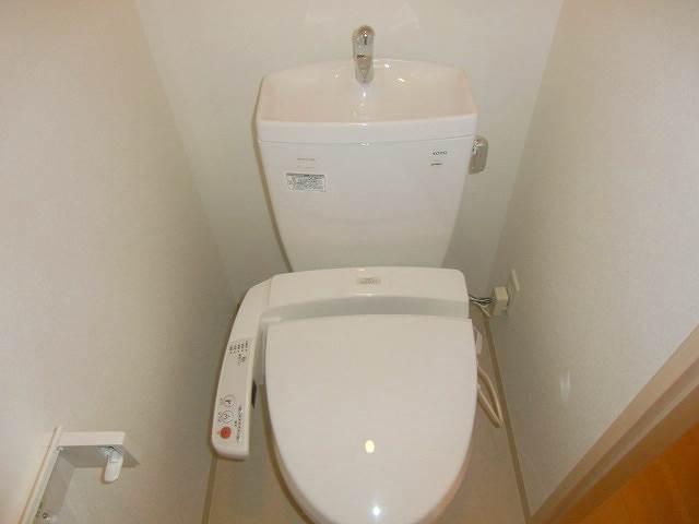 Toilet. Bidet