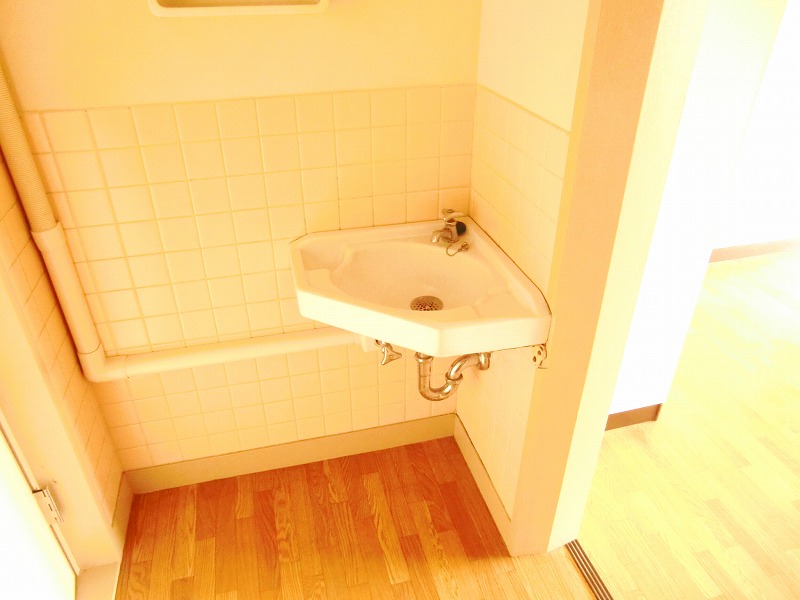 Washroom. Wash basin