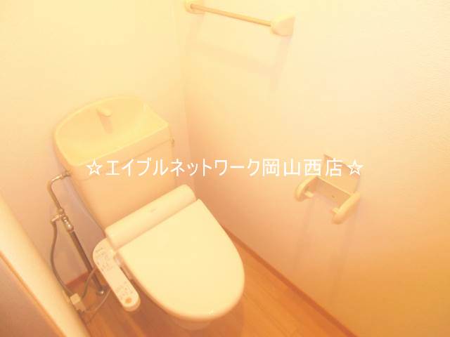 Toilet. Feeling of pressure there is no toilet