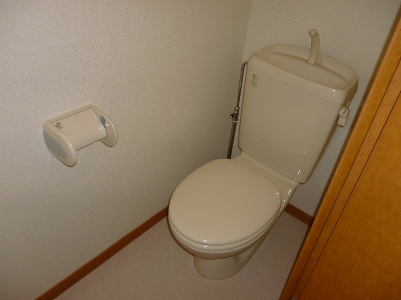 Toilet. Western-style toilet