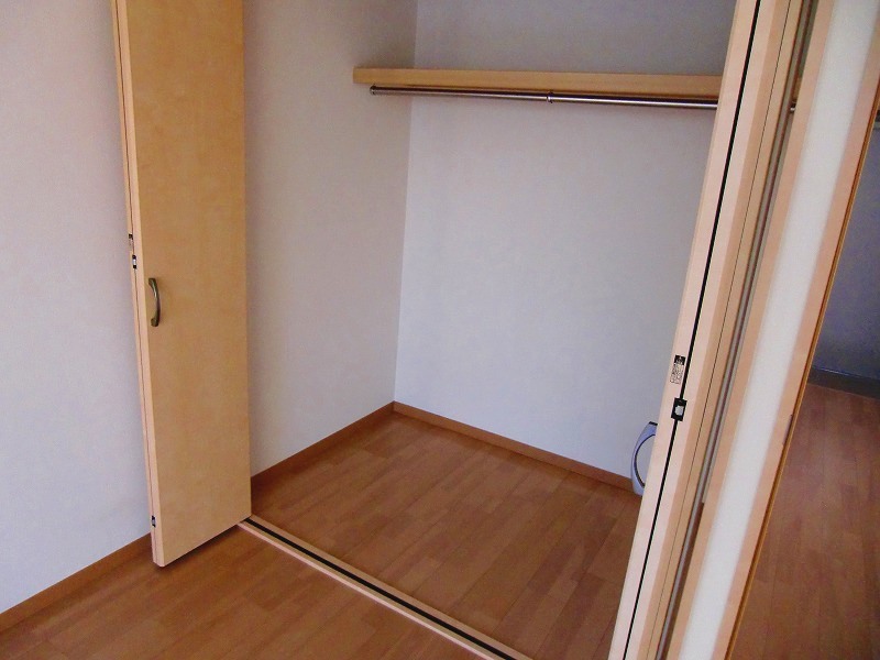 Receipt. Large walk-in closet with mirror of depth