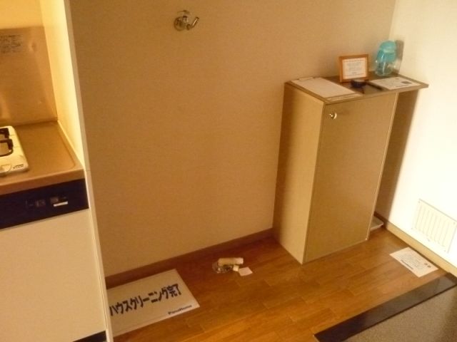 Other room space. It is indoor washing machine Storage.