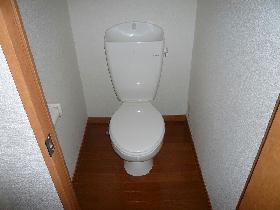 Toilet. Western-style toilet