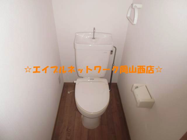 Toilet. Bidet