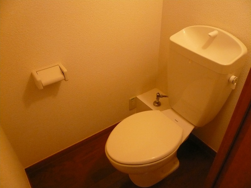 Toilet. Western-style toilet