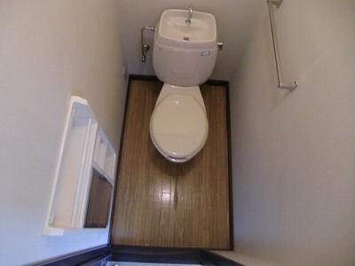 Toilet. Western-style toilet