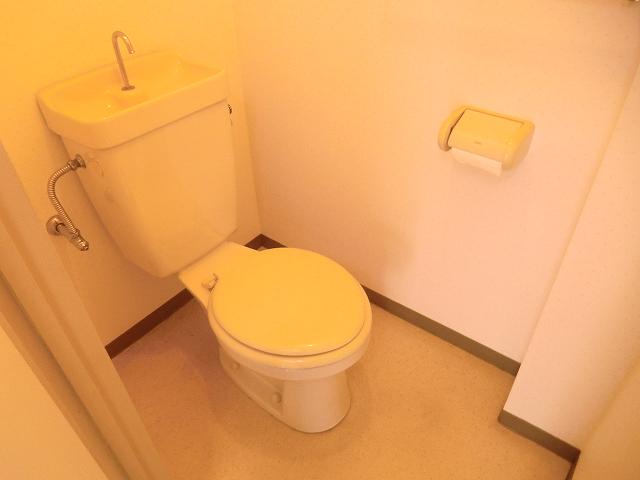 Toilet. It is another toilet! !