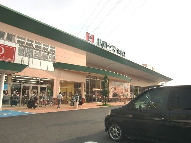 Supermarket. Hellos Hanajiri store up to (super) 290m