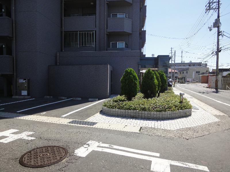 Local appearance photo. Taken from the local east. 2013 October 3, shooting