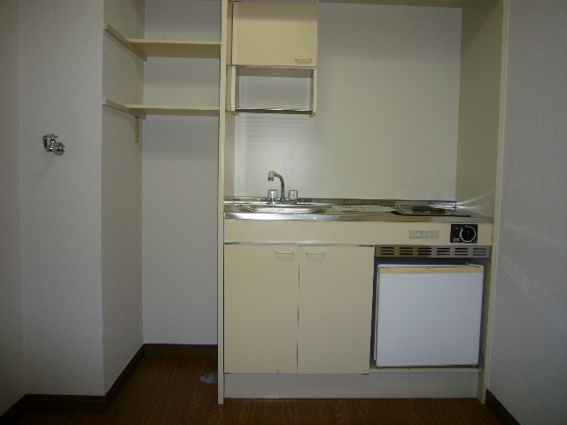 Kitchen. Fridge