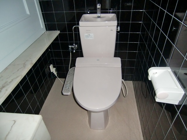 Toilet