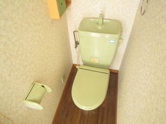 Toilet. Also it comes with a shoebox.