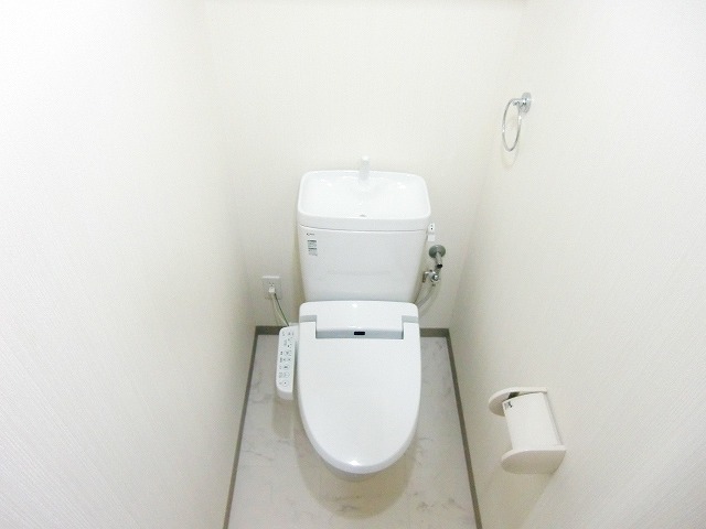 Toilet. Bidet