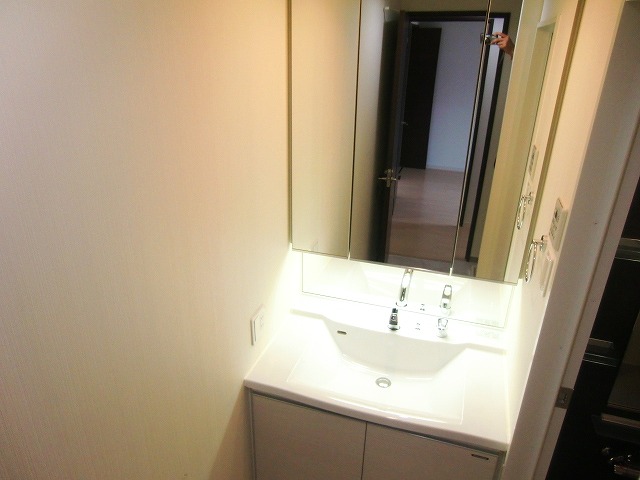 Washroom. Shampoo dresser