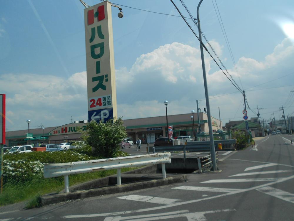 Supermarket. Conveniently located in 1100m shopping until Hellos Niwase shop! 