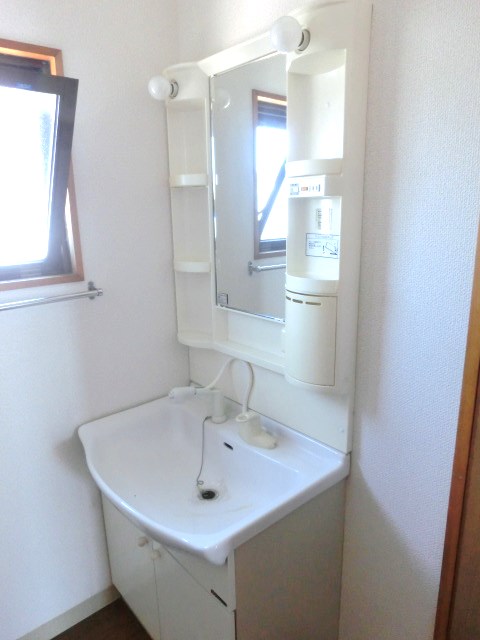 Washroom. Shampoo dresser