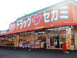 Dorakkusutoa. Segami Tsushima mall shop 147m until (drugstore)