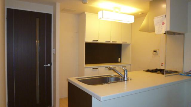 Kitchen. Indoor (11 May 2013) Shooting