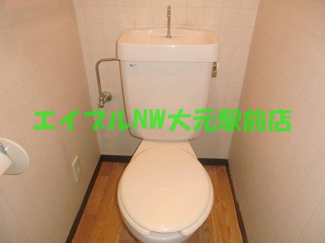 Toilet. Toilet