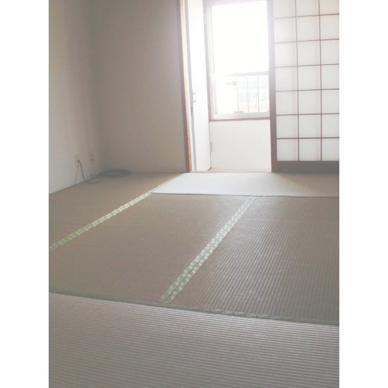 Other room space. Japanese style room