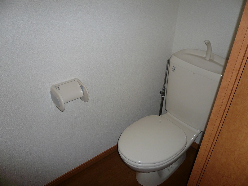 Toilet. Western-style toilet