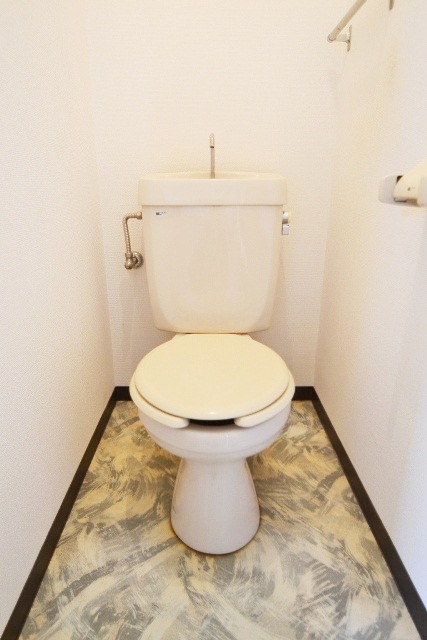 Toilet. Toilet floor ・  ・  ・ I like and divided by the design that does not look rarely ^^