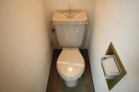 Toilet. WC