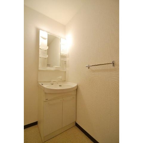 Washroom.  ☆ Also it comes with a shower dresser ☆