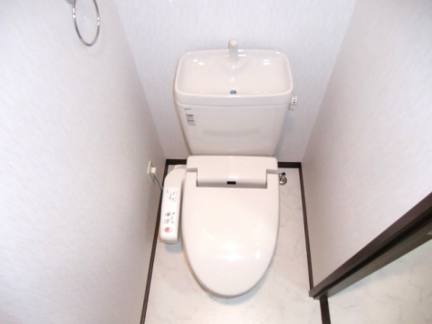 Toilet. Bidet with toilet