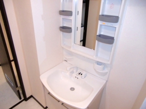 Washroom. Wash basin with shampoo dresser ☆