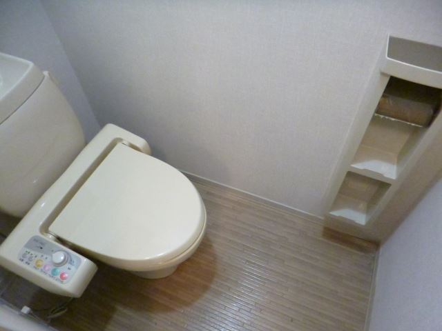 Toilet. Washlet is a beautiful toilet with function. 